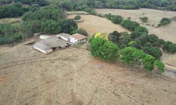 Imagem 2: Fazenda a venda em Cocalzinho / Girassol - Goiás!