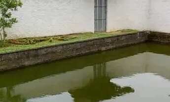 Imagem 6: Chácara em Biritiba Mirim SP!!!