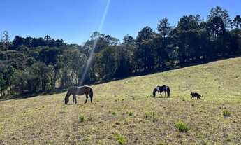 Imagem: CHACARA 10 MIL METROS M2, LOCALIZAÇÃO