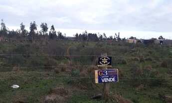 Imagem 7: Terreno à venda Parque Fragata Capão do Leão/RS