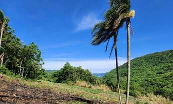 Imagem 5: Sítio / Chácara para Venda em Nova Petrópolis, Fazenda Pirajá