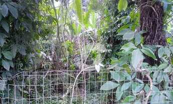 Imagem 5: Terreno à venda, 765 m² por R$ 300.000,00 - Engenho do Mato - Niterói/RJ