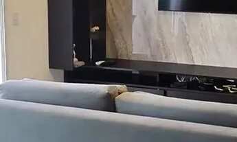 Imagem 2: Tirol Way Residence mobiliado!