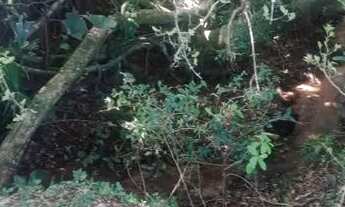 Imagem 4: TORRO 3 terrenos em condomínio fechado GuaibaRS