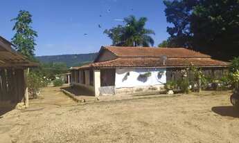 Imagem 5: Sítio a venda com 31 alqueires