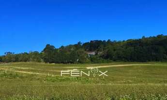 Imagem 6: Casa de condomínio para venda tem 500 metros quadrados