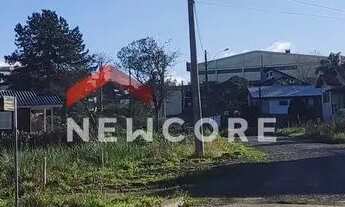 Imagem 7: Lote em Rua Belerophonte Albuquerque - Centro - São Francisco de Paula/RS