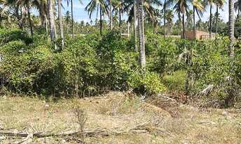 Imagem 2: Sítio em Piacabucu