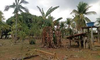 Imagem 6: Sitio com 29 hectares na região do capão verde