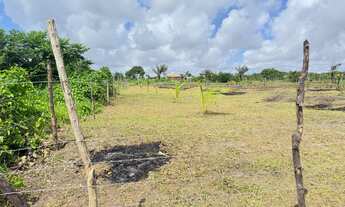 Imagem 2: Vendo terreno na Pirâmide