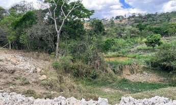 Imagem 4: Chácara de 1000metros