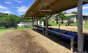 Imagem 5: Chácara c/ 3 alqueires , Porteira fechada 6 km de Abadiânia - GO, aceita imóveis em Anápol