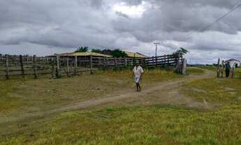 Imagem 2: Fazenda com 606 tarefas, em Ipirá-BA