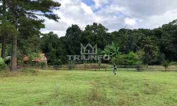 Imagem 7: Sítio em Canastra !!