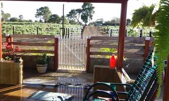 Imagem 6: Chácara com 3 dormitórios à venda, 217800 m² por R$ 1.050.000,00 - Zona Rural - Santa Tere