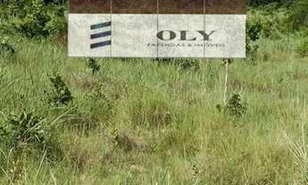 Imagem 3: OPORTUNIDADE ! Fazenda em Rubiataba-GO ! 255 Alqueires !