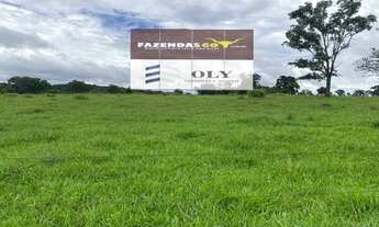 Imagem 5: OPORTUNIDADE ! Fazenda em Rubiataba-GO ! 255 Alqueires !