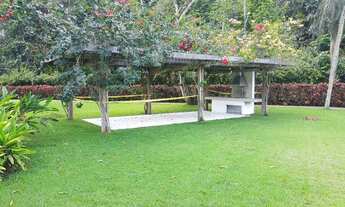 Imagem 5: Terra viva da aldeia