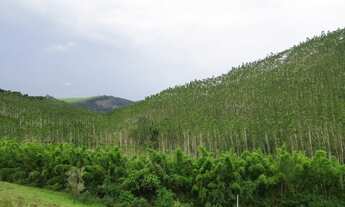 Imagem 7: OPORTUNIDADE!! Terreno com superfície de 3.500,00 m² em Secretário, Petrópolis - RJ