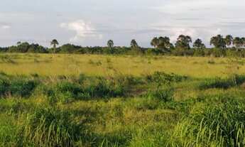 Imagem 2: Fazenda Extra - Cocalinho (MT