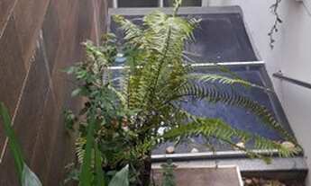 Imagem: Apartamento Reformado,88 metros quadrados