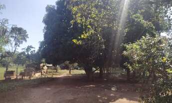 Imagem 2: Chácara 8 hectares. Jaraguari MS
