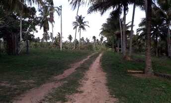 Imagem 2: Fazenda 178,7 tarefas em Conde