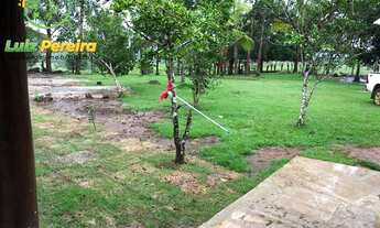 Imagem 2: FAZENDA À VENDA EM NOVO REPARTIMENTO - PA- 1868 HECTARES (DUPLA APTIDÃO