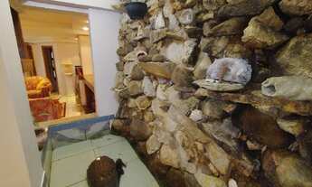 Imagem 4: Sobrado para VENDA