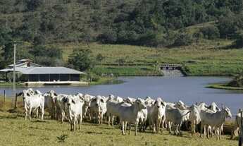 Imagem 6: Fazenda para Venda em Bela Vista de Goiás