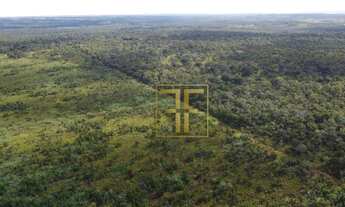 Imagem 4: Fazenda 132,5 Alqueires, Palmas, TO