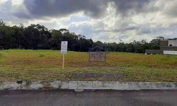 Imagem 3: Terreno à venda, 6640 m² por R$ 300.000,00 - Planta Laranjeiras - Piraquara/PR