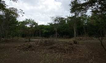 Imagem 3: Terreno bem próximo da Padaria Recanto Verde