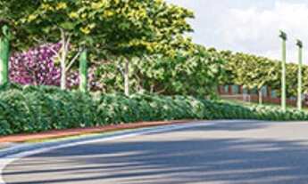 Imagem 6: Lote Jardins Londres