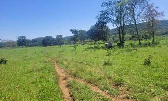 Imagem 7: Vendo Fazenda de 43 alqueires no município de Jaraguá