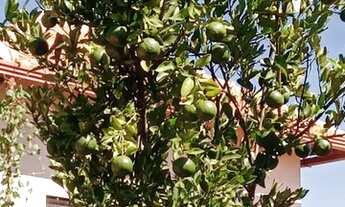 Imagem 3: Casa em Condomínio Fechado, MG010, KM55, sentido serra do cipo