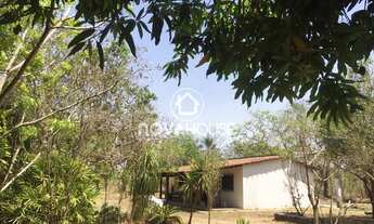 Imagem 2: EXCELENTE CHÁCARA COM 2,91 HÁ, 10KM DA AMBEV,; CASA; ENERGIA; POÇO ARTESIANO; POMAR E MUI