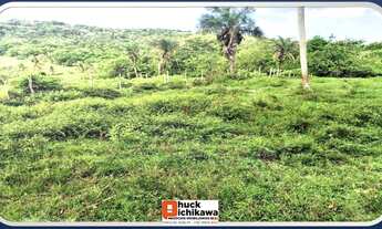 Imagem 5: SÍTIO de 55 TAREFAS - ESTÂNCIA