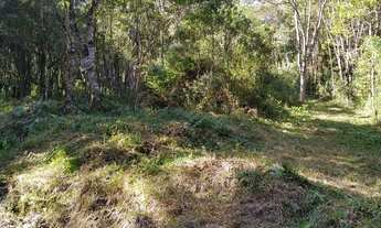 Imagem 4: Terreno para chácara de 9.600 m²