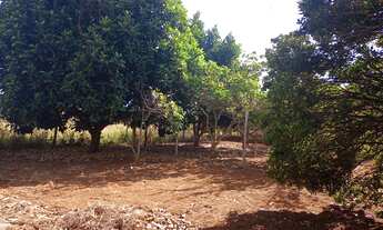 Imagem 5: Ot,chac,5000mts com cs 03 qts a 7 kms de brazlandia poço artesiano a/c,imovel e carro so 2