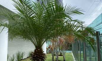 Imagem 3: Apartamento Venda Cabo Branco Nascente 2 quartos