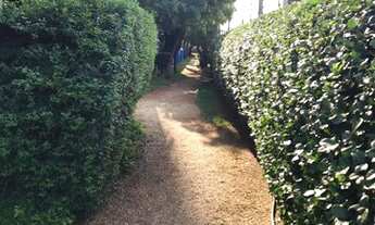 Imagem 6: Apartamento em Parque Maria Luiza - São Paulo