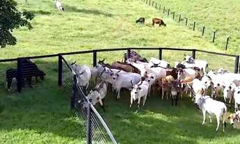 Imagem 3: Fazenda maravilhosa em Rio Quente-Go