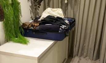 Imagem 4: CANELA - Apartamento Padrão - Centro