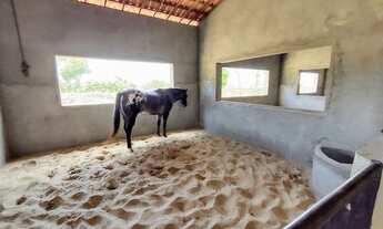 Imagem 6: HARAS em Caucaia para venda