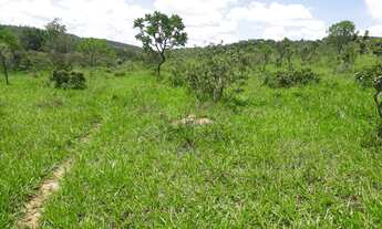Imagem 7: Terreno 28 Hectares em Passa Tempo Rico em Agua