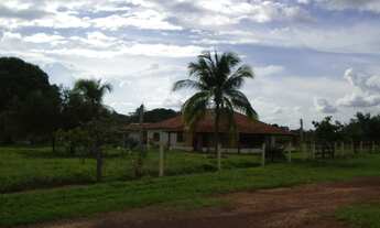 Imagem 2: Grande e Produtiva Fazenda em São Felix do Araguaia - MT