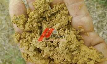 Imagem 5: Fazenda para Venda