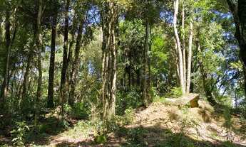 Imagem 4: Chácara com casa, 3 dormitórios à venda, 3500 m² - Areia Branca - Mandirituba/PR