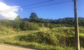 Imagem 3: CAXIAS DO SUL - Terreno Padrão - Monte Bérico